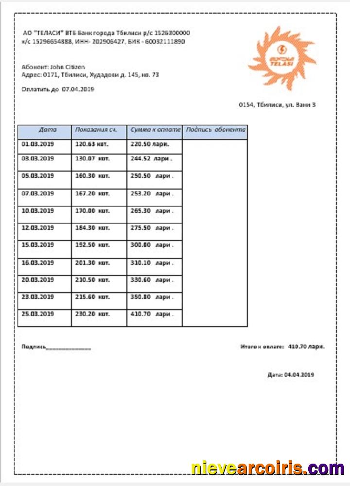 Georgia Telasi utility bill